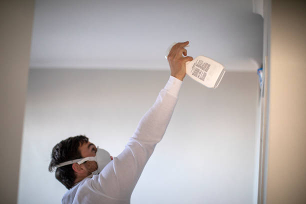 Professional Mold Removal in Manchester, KY