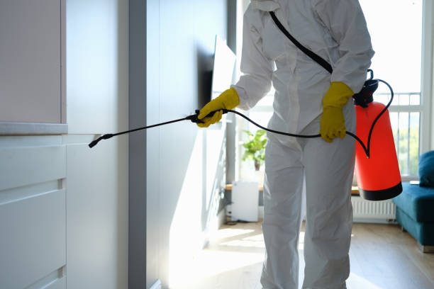 Mold Testing and Removal in Manchester, KY