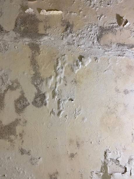 Water Damage Restoration in Manchester, KY