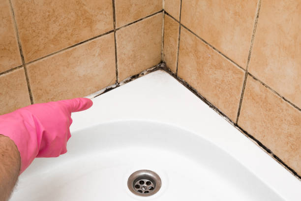 Best Mold Testing  in Manchester, KY